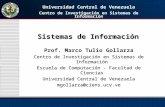 Sistemas de Información Prof. Marco Tulio Gollarza Centro de Investigación en Sistemas de Información Escuela de Computación - Facultad de Ciencias Universidad.
