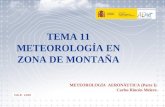 TEMA 11 METEOROLOGÍA EN ZONA DE MONTAÑA METEOROLOGÍA AERONÁUTICA (Parte I) Carlos Rincón Melero O.E.P. 2.010.