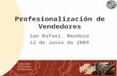 Profesionalización de Vendedores San Rafael, Mendoza 12 de Junio de 2009.