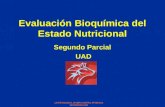 Evaluación Bioquímica del Estado Nutricional [Recuperado]