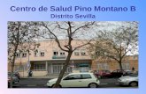Centro de Salud Pino Montano B Distrito Sevilla. Dirección, teléfonos, fax Dirección: C/ Mar de Alborán s/n. 41015. Sevilla Teléfonos: 954712736 - 954712738.
