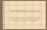 TRANSFORMACIÓN DEL BICE Análisis Comparativo - Brasil, Chile y Méjico - Alternativas para su transformación en un Banco de Desarrollo – JUNIO 2005.