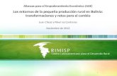 1 Alianzas para el Empoderamiento Económico (AAE) Los entornos de la pequeña producción rural en Bolivia: transformaciones y retos para el cambio Juan.
