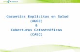1 Garantías Explicitas en Salud (AUGE) & Coberturas Catastróficas (CAEC)