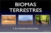 Biomas terrestres y fauna asociada