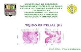 2.) Clasificación del Epitelio - Prof. Vita Calzolaio