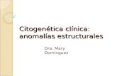 Citogenética clínica: anomalías estructurales Dra. Mary Dominguez.