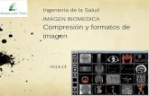 Ingeniería de la Salud IMAGEN BIOMEDICA Compresión y formatos de imagen 2013-14.