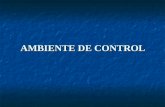 AMBIENTE DE CONTROL. Sistemas de Información Ambiente de control Valoración del riesgo Actividades de control Seguimiento Componentes del control interno.