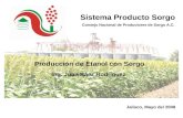 Producción de Etanol con Sorgo Sistema Producto Sorgo Consejo Nacional de Productores de Sorgo A.C. Ing. Juan Báez Rodríguez Jalisco, Mayo del 2008.