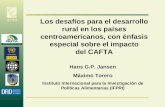 IFPRI Los desafíos para el desarrollo rural en los países centroamericanos, con énfasis especial sobre el impacto del CAFTA Hans G.P. Jansen Máximo Torero.