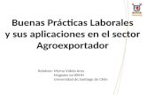 Buenas Prácticas Laborales y sus aplicaciones en el sector Agroexportador Relatora: Myrna Videla Aros Magíster en RRHH Universidad de Santiago de Chile.