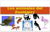 Los animales del Zoológico. El águila El flamenco.