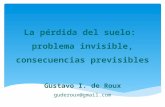 La pérdida del suelo: problema invisible, consecuencias previsibles Gustavo I. de Roux guderoux@gmail.com.