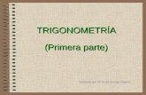 TRIGONOMETRÍA (Primera parte) Realizado por Mª Jesús Arruego Bagüés.