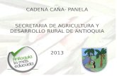 CADENA CAÑA- PANELA SECRETARIA DE AGRICULTURA Y DESARROLLO RURAL DE ANTIOQUIA 2013.