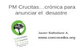 PM Crucitas…crónica para anunciar el desastre Javier Baltodano A. .