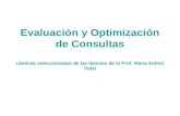 Evaluación y Optimización de Consultas Láminas seleccionadas de las láminas de la Prof. María Esther Vidal.