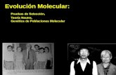 Evolución Molecular: Pruebas de Selección, Teoría Neutra, Genética de Poblaciones Molecular.