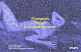 Mamografía.Nódulos y asimetrías mamarias Fernando Guerzovich Diagnóstico Médico Departamento de Diagnóstico Mamario.