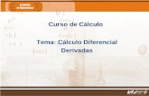 Matemáticas IIFís. Edgar I. Sánchez Rangel Curso de Cálculo Tema: Cálculo Diferencial Derivadas.