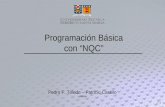 Programación Básica con “NQC” Pedro F. Toledo – Patricio Castillo 13/05/2006.