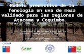 Modelo predictivo de la fenología en uva de mesa validado para las regiones de Atacama y Coquimbo. “Consolidación de la Red Agroclimática Nacional” código: