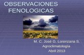 OBSERVACIONES FENOLOGICAS M. C. José G. Lorenzana S. Agroclimatología Abril 2013.