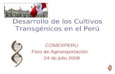 Desarrollo de los Cultivos Transgénicos en el Perú COMEXPERU Foro de Agroexportación 24 de julio 2008.