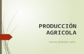 PRODUCCIÓN AGRICOLA EVELYN QUINTERO LOPEZ.  Producto agrícola es la denominación genérica de cada uno de los productos de la agricultura, la actividad.