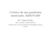 Crónica de una pandemia anunciada: A(H1N1)09 Dr. Tapen Sinha, ING Catédra, ITAM, México Profesor de la Universidad de Nottingham, Reino Unido.