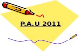 P.A.U 2011 P.A.U 2011. La siguiente presentación incluye: 1- Información de las Fases de la Prueba. 2- Información de los Grados y materias de modalidad.