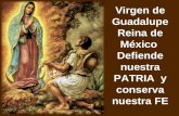 Virgen de Guadalupe Reina de México Defiende nuestra PATRIA y conserva nuestra FE.