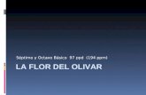 Séptimo y Octavo Básico 97 ppd (194 ppm) LA FLOR DEL OLIVAR.