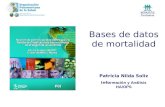 Bases de datos de mortalidad Patricia Nilda Soliz Info rmación y Análisis HA/OPS.