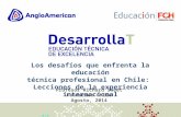 Los desafíos que enfrenta la educación técnica profesional en Chile: Lecciones de la experiencia internacional Profesor Richard Sweet Fundación Chile Agosto,