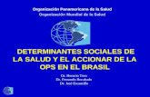 Organización Panamericana de la Salud Organización Mundial de la Salud DETERMINANTES SOCIALES DE LA SALUD Y EL ACCIONAR DE LA OPS EN EL BRASIL Dr. Horacio.
