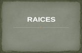 RAICES. 4 ¿Qué es una Raíz? Una Raíz es una expresión que consta de un INDICE, un símbolo de raíz y un SUBRADICAL. ¿Indice, raíz, cantidad subradical?