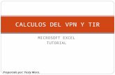 MICROSOFT EXCEL TUTORIAL CALCULOS DEL VPN Y TIR Preparado por: Yesly Mora.