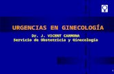 1 URGENCIAS EN GINECOLOGÍA Dr. J. VICENT CARMONA Servicio de Obstetricia y Ginecología.