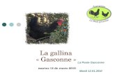 Martes 12 de enero 2010 La gallina « Gasconne » La Poule Gasconne Mardi 12.01.2010.