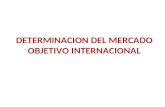 Determinacion Del Mercado Objetivo Internacional