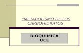 Bioquimica: Metabolismo Del Glucogeno