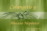 Colangitis y Absceso Hept Dra. Dasyl