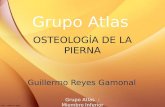 Anatomia Grupo Atlas Clase 4 Region Poplitea y Pierna.