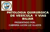 Patologia Quirurgica de Vesicula y Vias Biliares