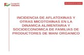 INCIDENCIA DE AFLATOXINAS Y OTRAS MICOTOXINAS EN LA DINAMICA ALIMENTARIA Y SOCIOECONOMICA DE FAMILIAS DE PRODUCTORES DE MANI ORGANICO.
