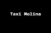 Taxi Molina. celular Particular Empresarial.