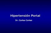 Hipertensión Portal Dr. Carlos Cortez. Hipertensión Portal mecánico dinámico.Fenómeno fisiopatológico primordial es el aumento mecánico al flujo portal,