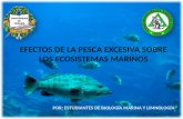 EFECTOS DE LA PESCA EXCESIVA SOBRE LOS ECOSISTEMAS MARINOS POR: ESTUDIANTES DE BIOLOGÍA MARINA Y LIMNOLOGÍA.